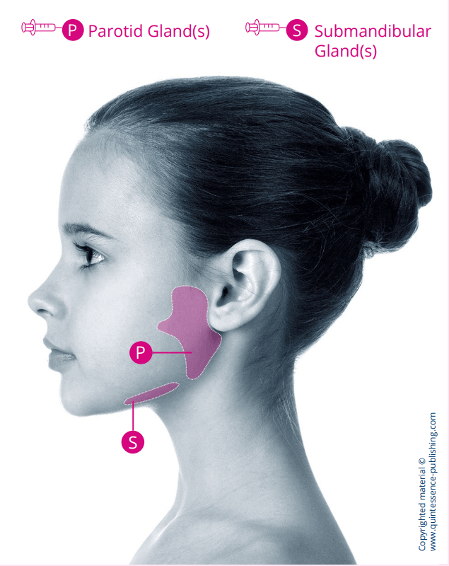 clara gland diagram